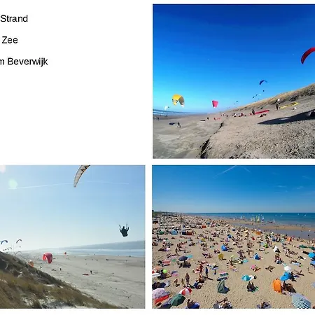 Korona Beautiful * Beverwijk